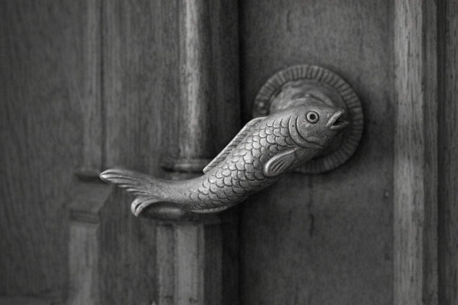 Et dekorativt dørhåndtak formet som en fisk på en dør av tre.